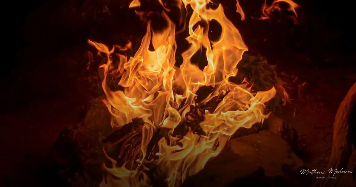 Termogênico: Benefícios Ocultos que Impulsionam a Queima de Gordura