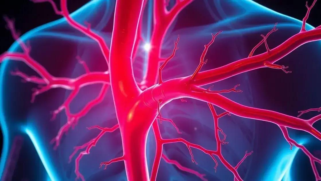 Citrulina malato para resistência vascular: entenda como pode melhorar sua saúde